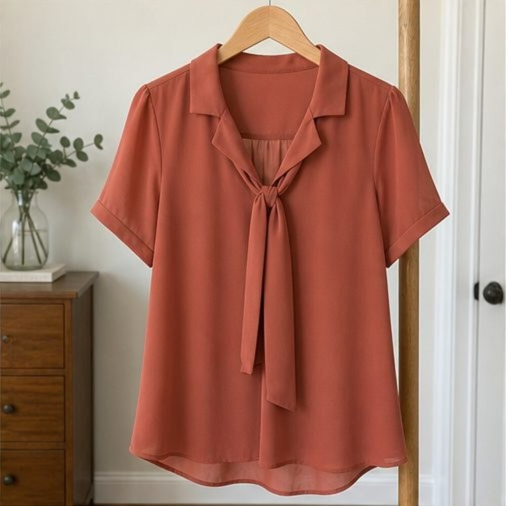 Rust Tie Neck Blouse